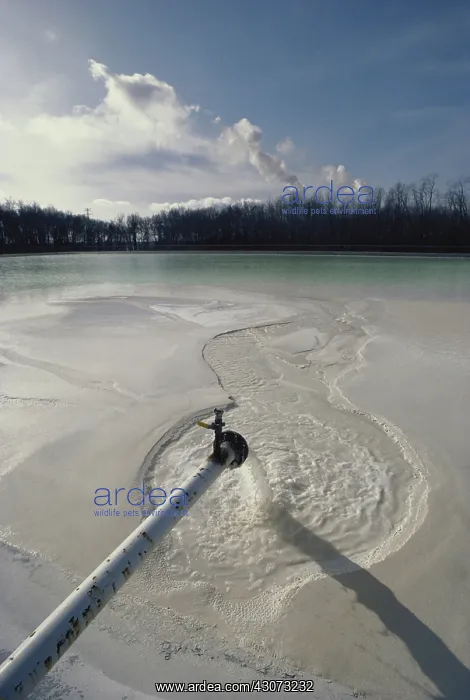 : Solid Waste Treatment Pool : Solid Waste Treatment Pool