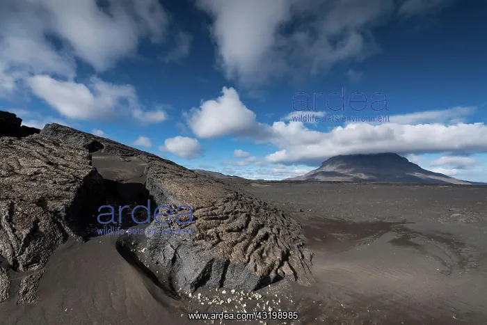 : Solidified lava, lava desert, in the background : Solidified lava, lava desert, in the background