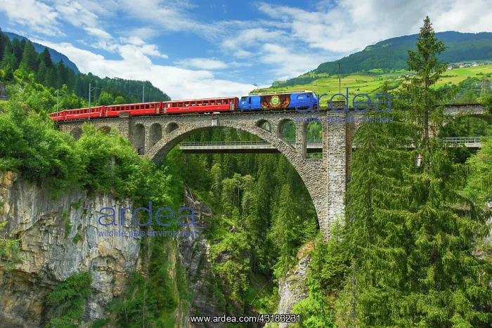 : Solisbracke (Solis Bridge), Grisons, Switzerland : Solisbracke (Solis Bridge), Grisons, Switzerland