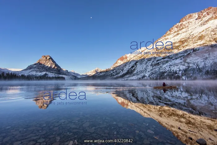 : Solo canoe goes by as Sinopah Mountain reflects : Solo canoe goes by as Sinopah Mountain reflects