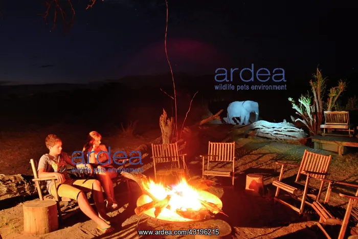  : Somalisa camp has twelve safari tents near a pond
