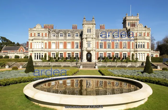 : Somerleyton Hall country house, near Lowestoft : Somerleyton Hall country house, near Lowestoft