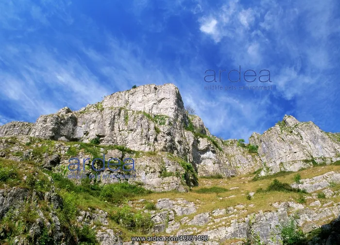 : SOMERSET - Cheddar Gorge. Limestone cliffs, west side : SOMERSET - Cheddar Gorge. Limestone cliffs, west side
