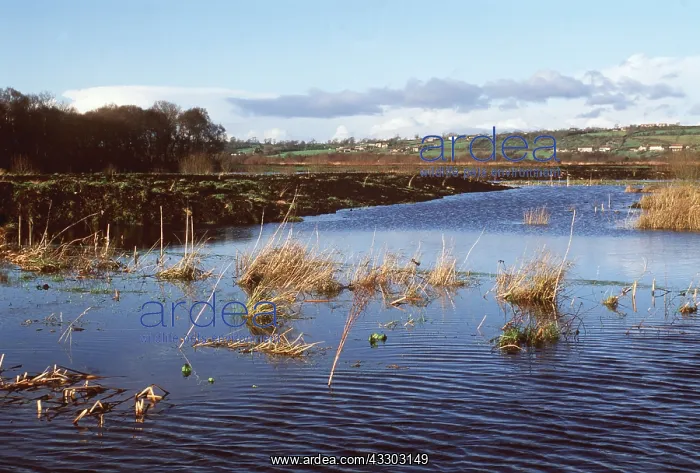 : SOMERSET LEVELS - Lake formed from flooded peat workings on : SOMERSET LEVELS - Lake formed from flooded peat workings on