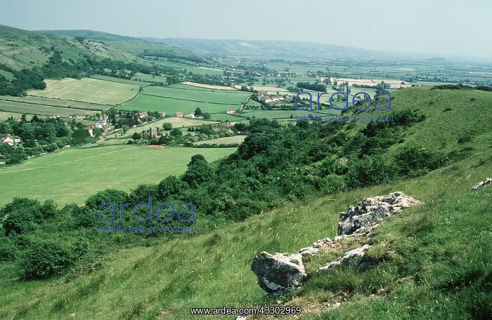 : SOMERSET - MENDIPS - carboniferous limestone : SOMERSET - MENDIPS - carboniferous limestone