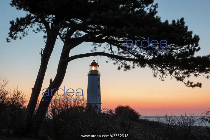 : Sonnenaufgang am Leuchtturm Dornbusch auf dem Schluckwieksbe : Sonnenaufgang am Leuchtturm Dornbusch auf dem Schluckwieksbe