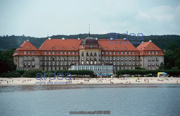 : Sopot health resort, near Gdansk. Poland : Sopot health resort, near Gdansk. Poland