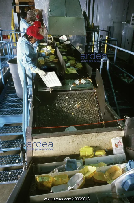 : Sorting polystyrene containers for recycling : Sorting polystyrene containers for recycling