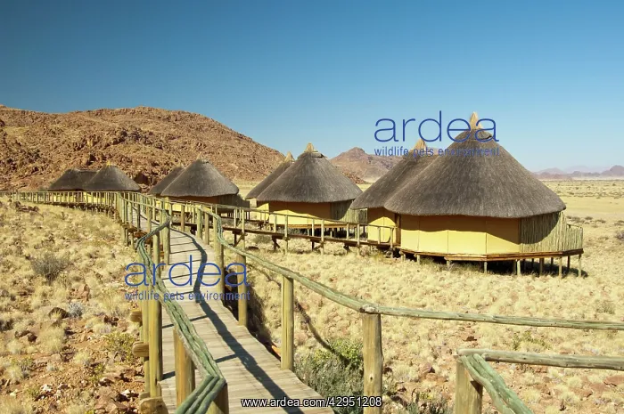 : Sossusvlei Lodge - this is a new lodge in Namib : Sossusvlei Lodge - this is a new lodge in Namib