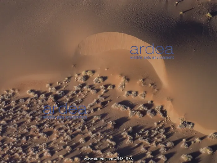 : Sossusvlei sanddunes from out the sky : Sossusvlei sanddunes from out the sky