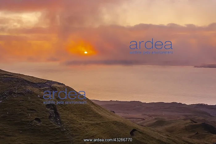 : Sound of Raasay - colourful sunrise over Sound of : Sound of Raasay - colourful sunrise over Sound of