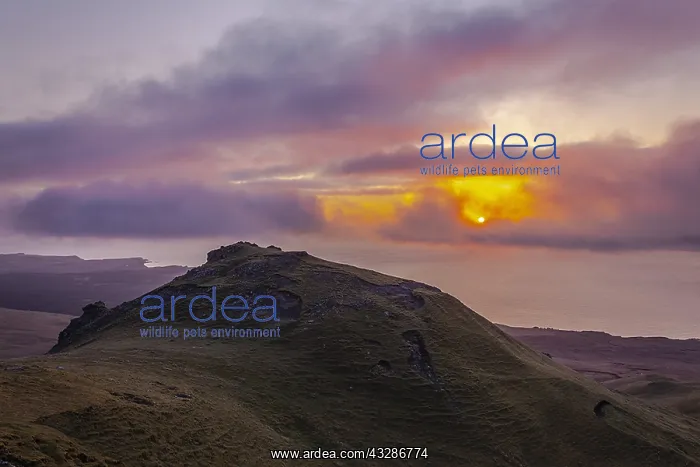 : Sound of Raasay - colourful sunrise over Sound of : Sound of Raasay - colourful sunrise over Sound of