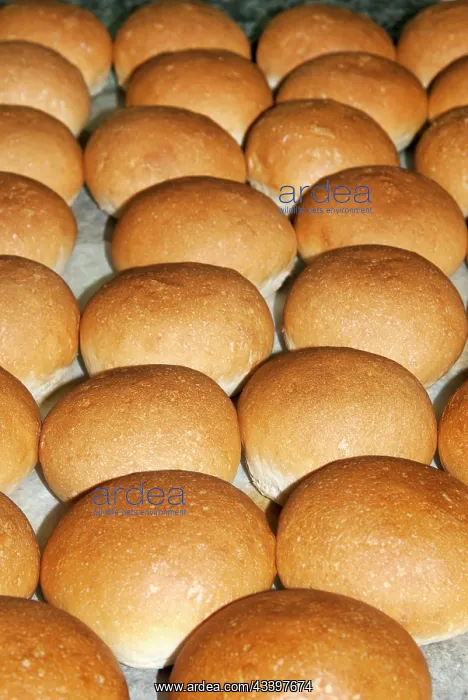: Sourdough bread rolls, cooked in the baker's laboratory : Sourdough bread rolls, cooked in the baker's laboratory
