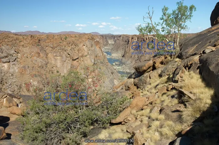 : South Africa - Augrabies Falls National Park, Northern Cape : South Africa - Augrabies Falls National Park, Northern Cape