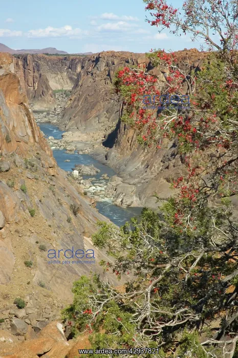 : South Africa - Augrabies Falls National Park, Northern Cape : South Africa - Augrabies Falls National Park, Northern Cape