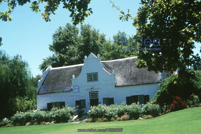 : SOUTH AFRICA - Cape Dutch homestead : SOUTH AFRICA - Cape Dutch homestead