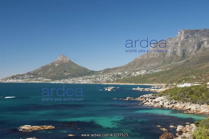 : South Africa, Cape Town, Camps Bay and Clifton : South Africa, Cape Town, Camps Bay and Clifton
