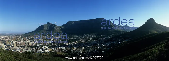 : South Africa, Cape Town, Downtown skyline : South Africa, Cape Town, Downtown skyline