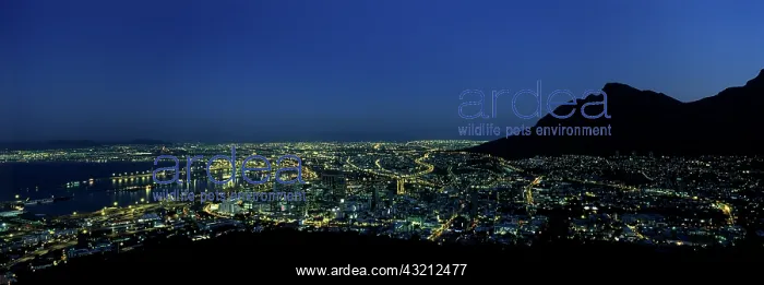 : South Africa, Cape Town, Street lights of : South Africa, Cape Town, Street lights of
