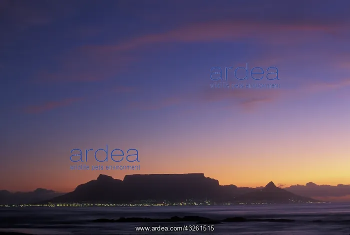 : South Africa, City light of Cape Town shine : South Africa, City light of Cape Town shine