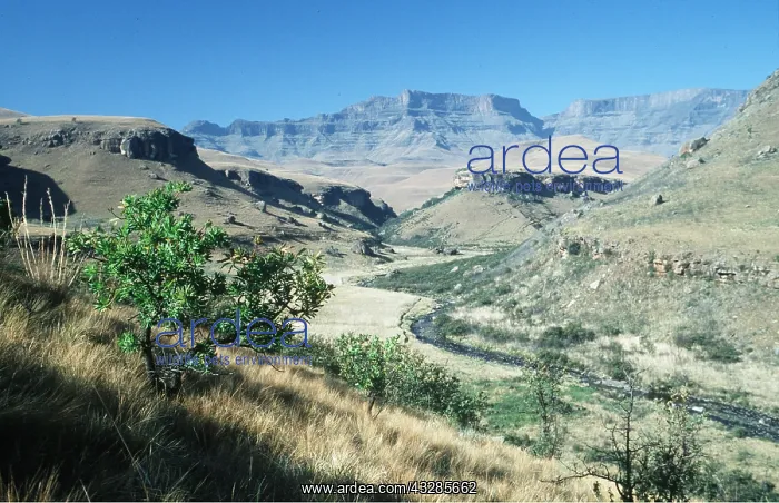 : South Africa - Drakensberg : South Africa - Drakensberg