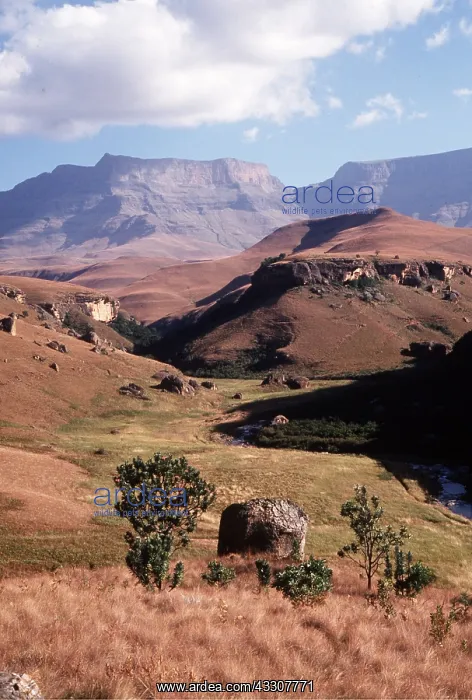 : SOUTH AFRICA - Drakensberg Mountains : SOUTH AFRICA - Drakensberg Mountains