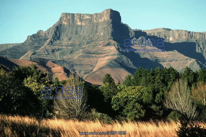 : South Africa - Drakensburg mountains - Khahlamba : South Africa - Drakensburg mountains - Khahlamba