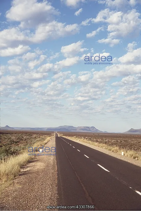 : South Africa - Karoo Scene, road and sky : South Africa - Karoo Scene, road and sky