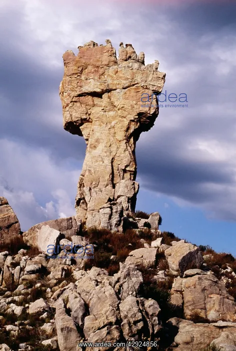  : South Africa - Maltese Cross, Cedarberg Mountains