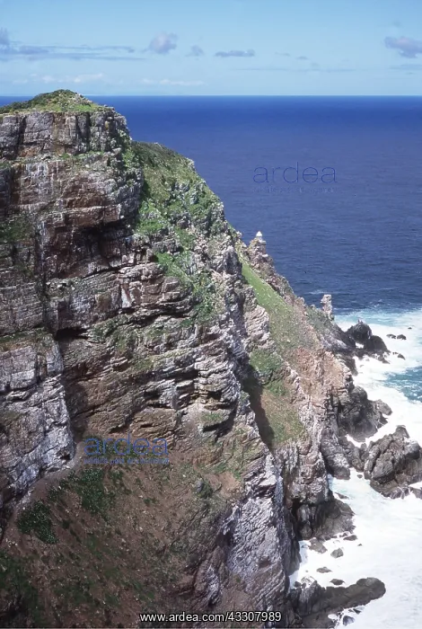 : SOUTH AFRICA - A view of Cape Point : SOUTH AFRICA - A view of Cape Point