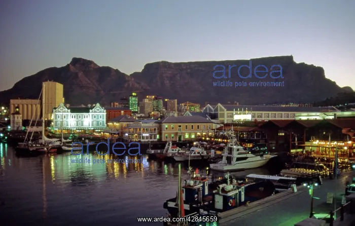 : South Africa - The Waterfront harbour development : South Africa - The Waterfront harbour development