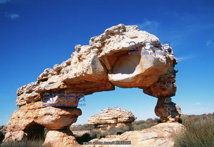 : SOUTH AFRICA - Weathered Sandstone : SOUTH AFRICA - Weathered Sandstone