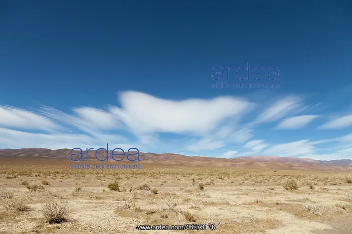 : South America, Argentina, Jujuy, Salinas : South America, Argentina, Jujuy, Salinas
