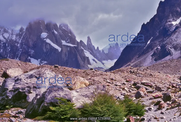 : South America, Argentina, Patagonia, View : South America, Argentina, Patagonia, View