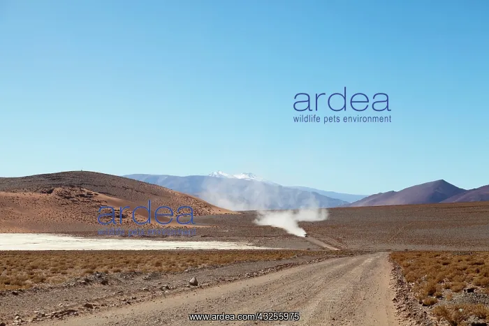 : South America, Argentina, Province Catamarca : South America, Argentina, Province Catamarca
