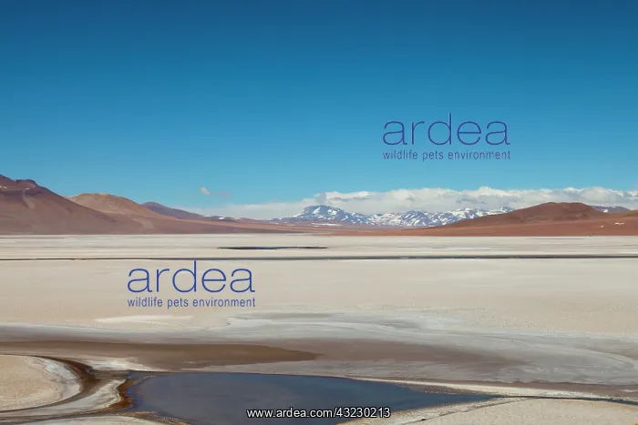 : South America, Argentina, Province Jujuy : South America, Argentina, Province Jujuy