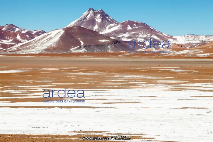 : South America, Argentina, Province Jujuy : South America, Argentina, Province Jujuy