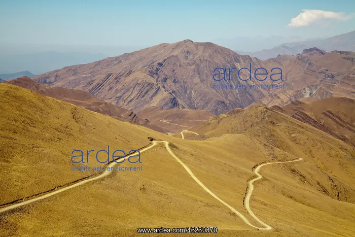 : South America, Argentina, Province Jujuy : South America, Argentina, Province Jujuy