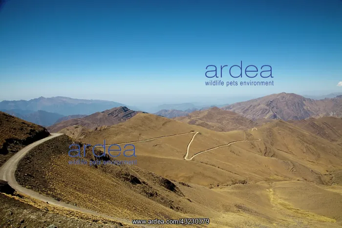 : South America, Argentina, Province Jujuy : South America, Argentina, Province Jujuy