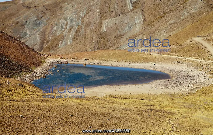 : South America, Argentina, Province Jujuy : South America, Argentina, Province Jujuy