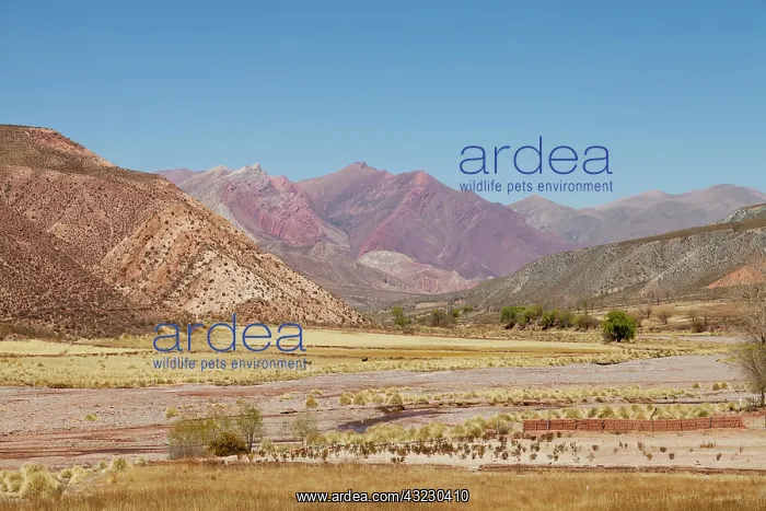 : South America, Argentina, Province Jujuy : South America, Argentina, Province Jujuy