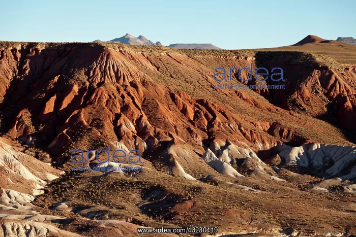 : South America, Argentina, Province Jujuy : South America, Argentina, Province Jujuy
