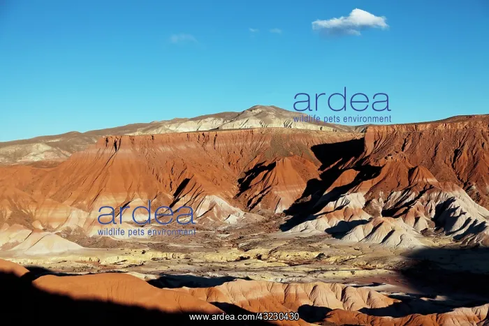 : South America, Argentina, Province Jujuy : South America, Argentina, Province Jujuy