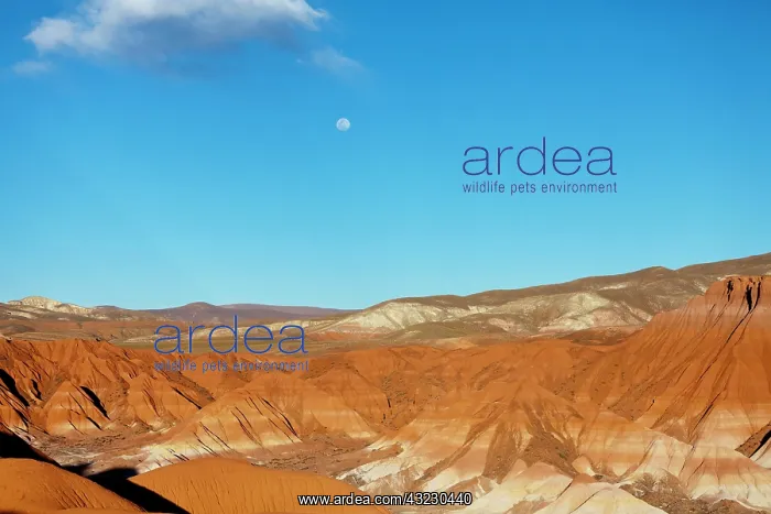 : South America, Argentina, Province Jujuy : South America, Argentina, Province Jujuy