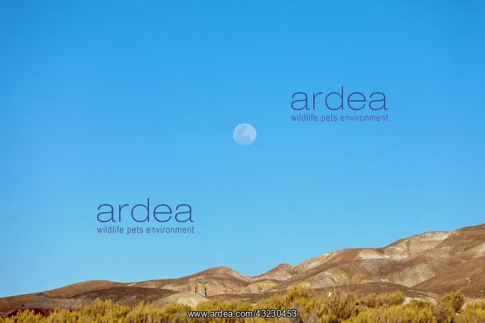 : South America, Argentina, Province Jujuy : South America, Argentina, Province Jujuy