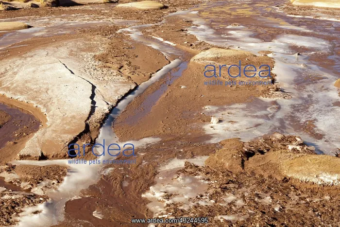 : South America, Argentina, Province Salta : South America, Argentina, Province Salta