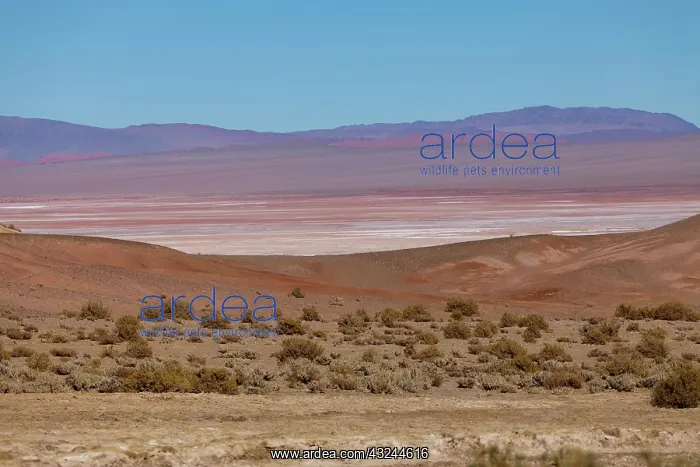 : South America, Argentina, Province Salta : South America, Argentina, Province Salta