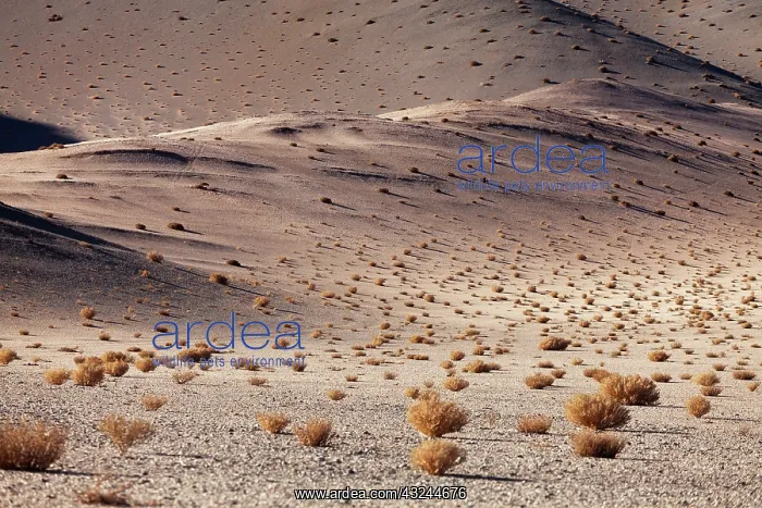 : South America, Argentina, Province Salta : South America, Argentina, Province Salta