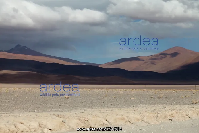 : South America, Argentina, Province Salta : South America, Argentina, Province Salta