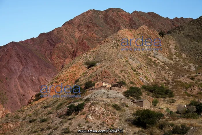 : South America, Argentina, Province Salta : South America, Argentina, Province Salta
